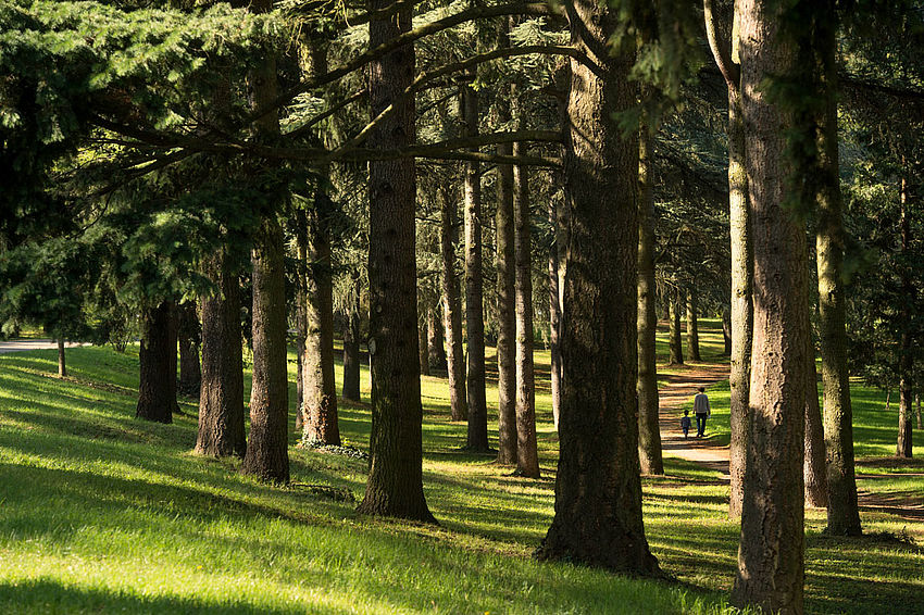 Le parc de Parilly