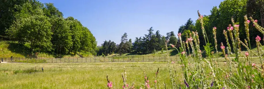 Le parc du Vallon