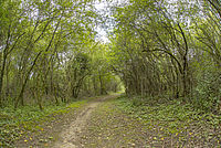 Le parc de Sermenaz