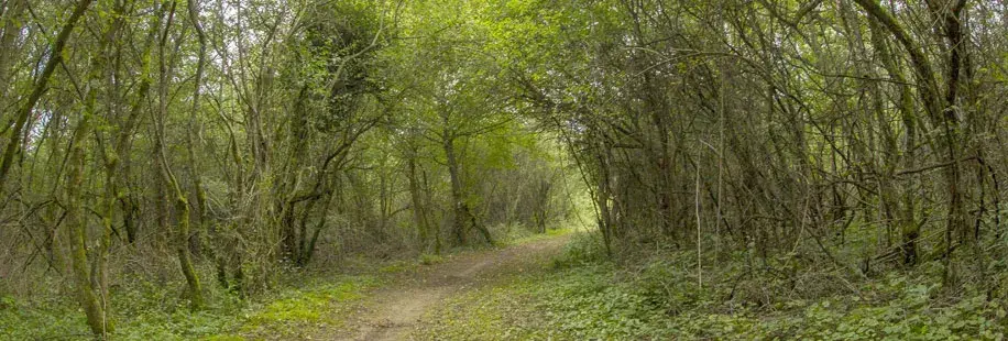 Le parc de Sermenaz