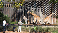 Le parc zoologique du parc de la Tête d'Or