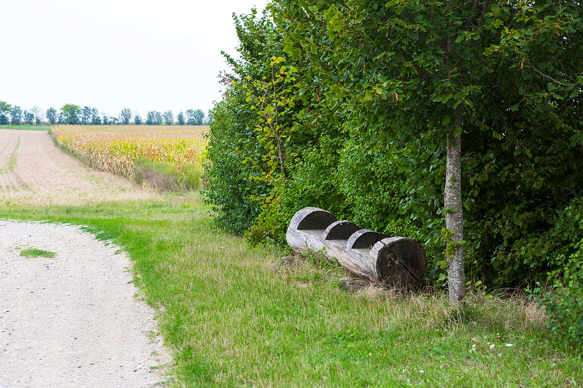 Sentier des Alouettes