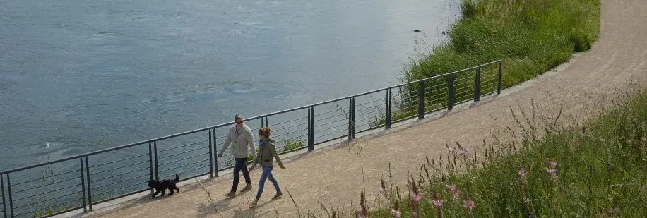 Le canal de Jonage