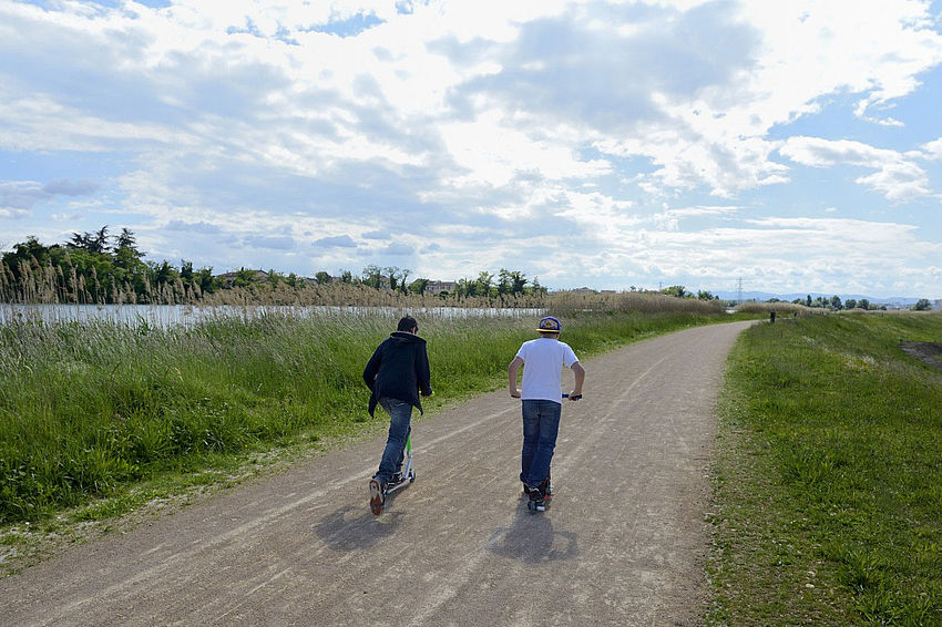 Le canal de Jonage