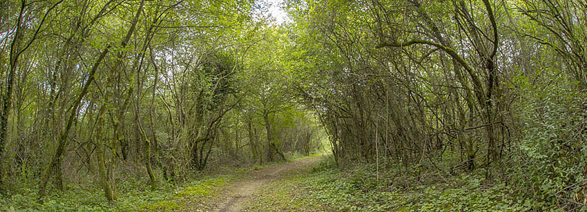 Le parc de Sermenaz