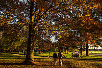 Le parc de Parilly