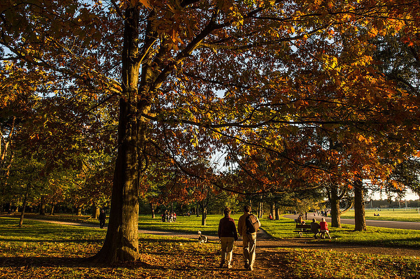 Le parc de Parilly