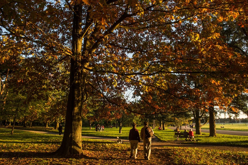 Le parc de Parilly