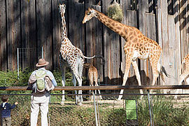 Le parc zoologique du parc de la Tête d'Or