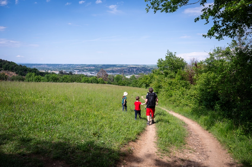 Des promeneurs dans la prairie