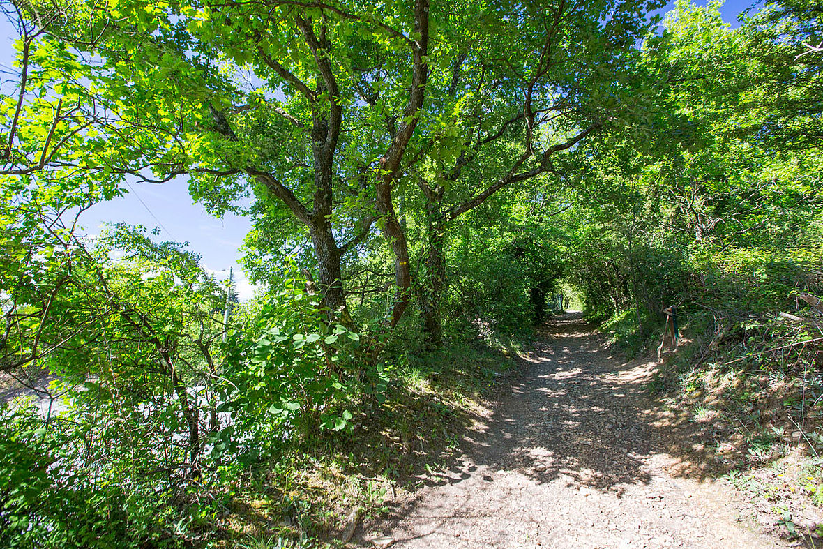 Sentier des Rapaces