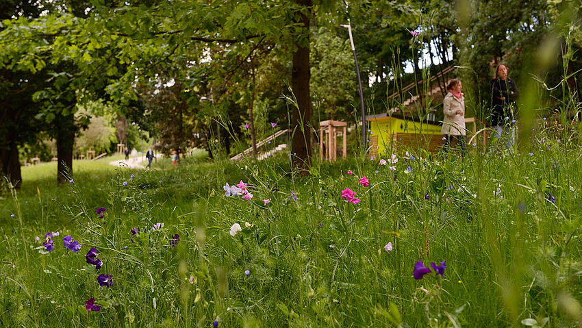 Le parc du Vallon