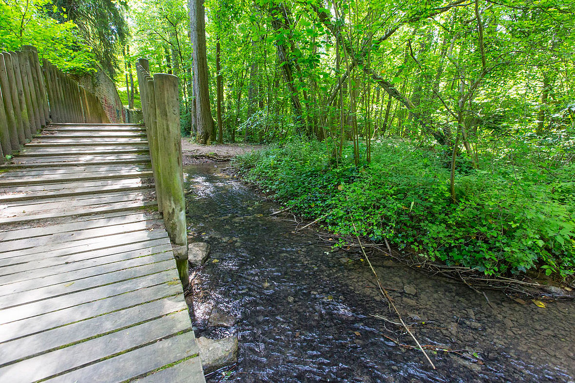 Sentier du Ruisseau de Rochecardon