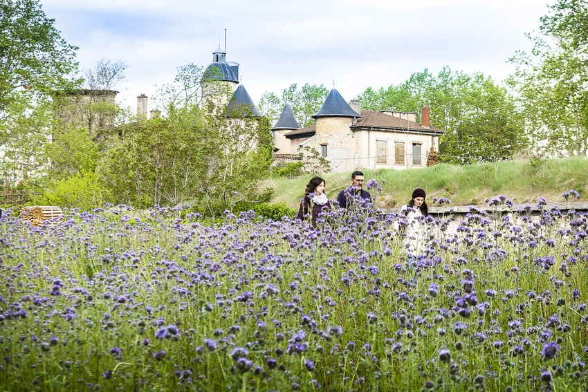 La nature reprend ses droits dans le parc Sergent Blandan
