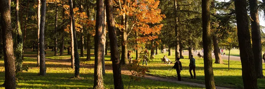Le parc de Parilly