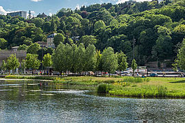 Le parc de Saône