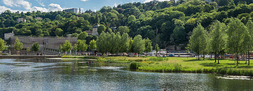 Le parc de Saône