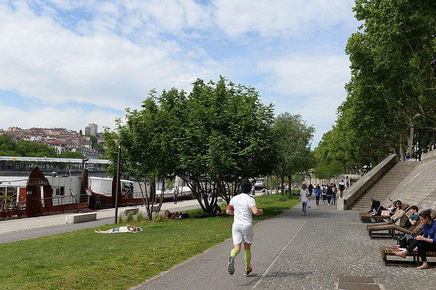 Les berges du Rhône