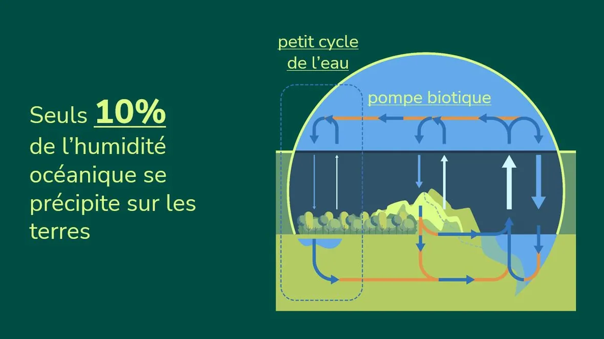 Un schéma de l'infrastructure climatique