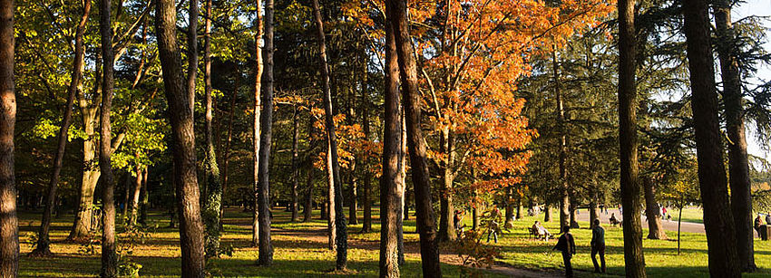 Le parc de Parilly