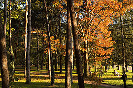 Le parc de Parilly