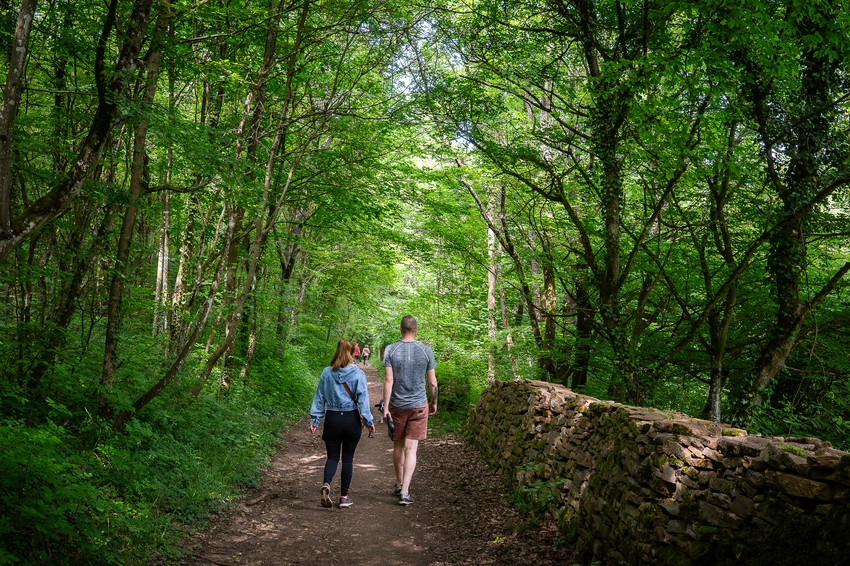 Le sentier le long du chemin du Pinay avec des promeneurs