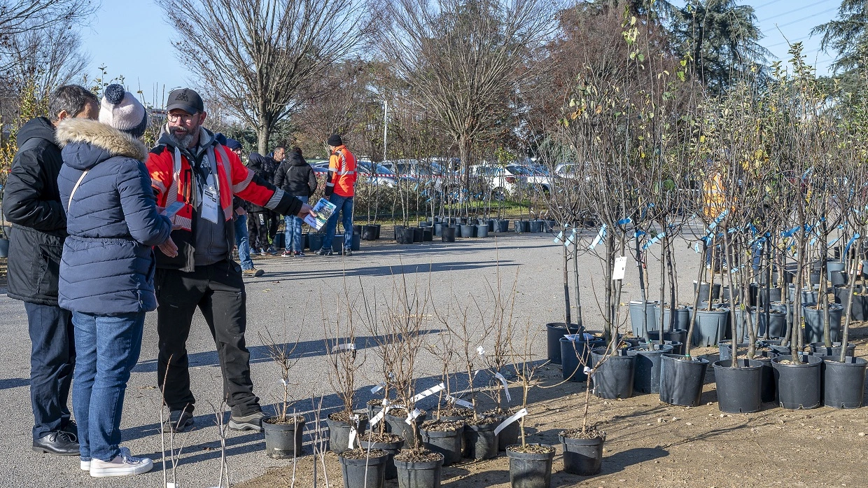 Distribution d'arbres le 22 novembre 2025 au Parc de Parilly