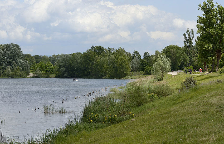 Le Grand Parc de Miribel Jonage