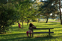 Le parc de Parilly