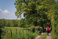 Sentier Jeu de Regards sur Méginand