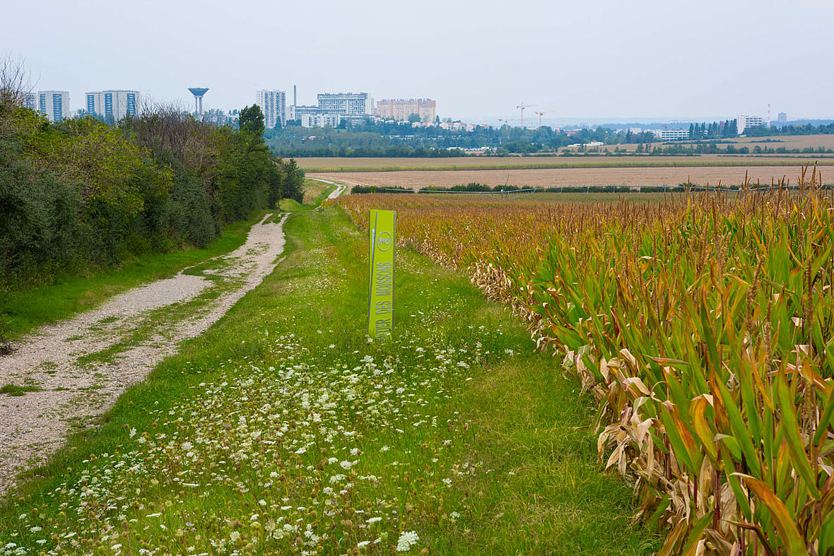 Sentier des Moissons