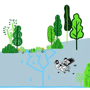 jardins de pluie