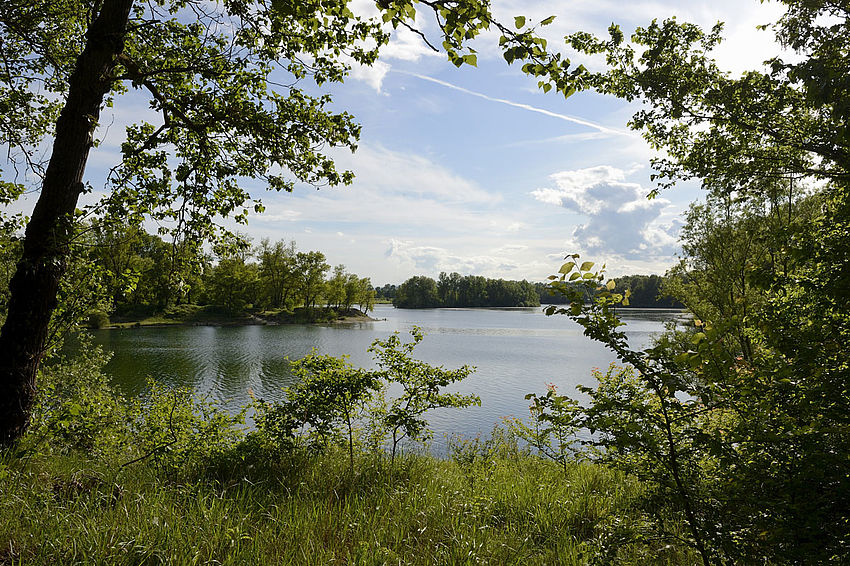 Le Grand Parc de Miribel Jonage 