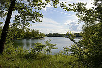 Le Grand Parc de Miribel Jonage 