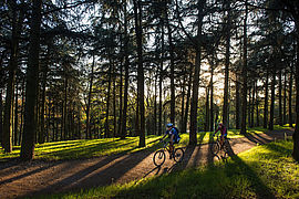 Le parc de Parilly