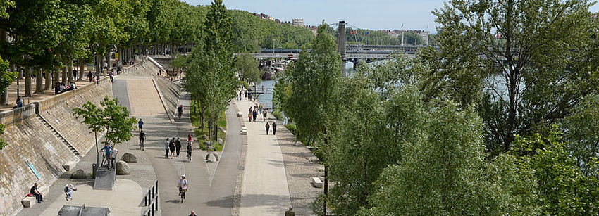 Les berges du Rhône