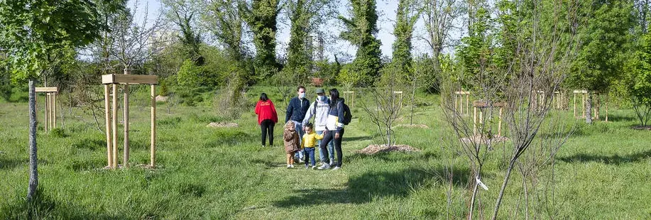 Une photo de l'arboretum de Sathonay-Camp
