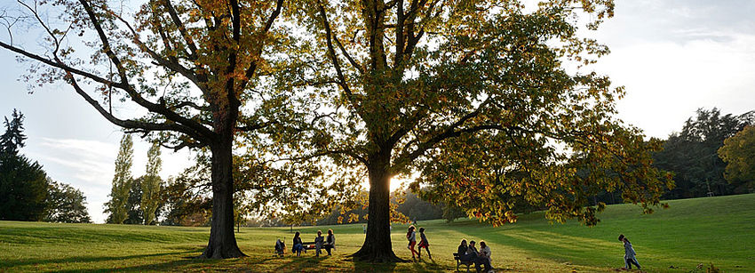 Le domaine de Lacroix-Laval