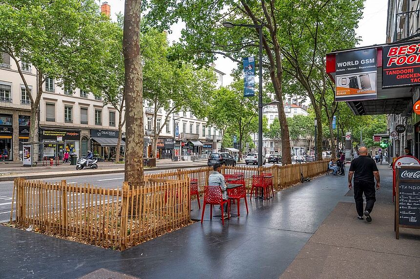 Une photo, sur le cours Gambetta, de massifs végétaux qui ont été plantés au pied des platanes.
