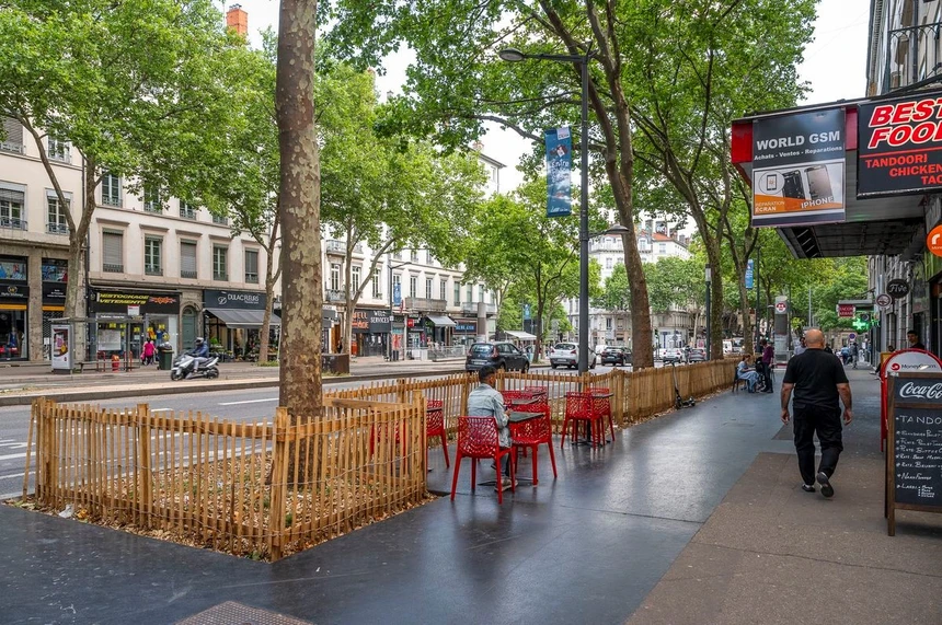 Une photo, sur le cours Gambetta, de massifs végétaux qui ont été plantés au pied des platanes.