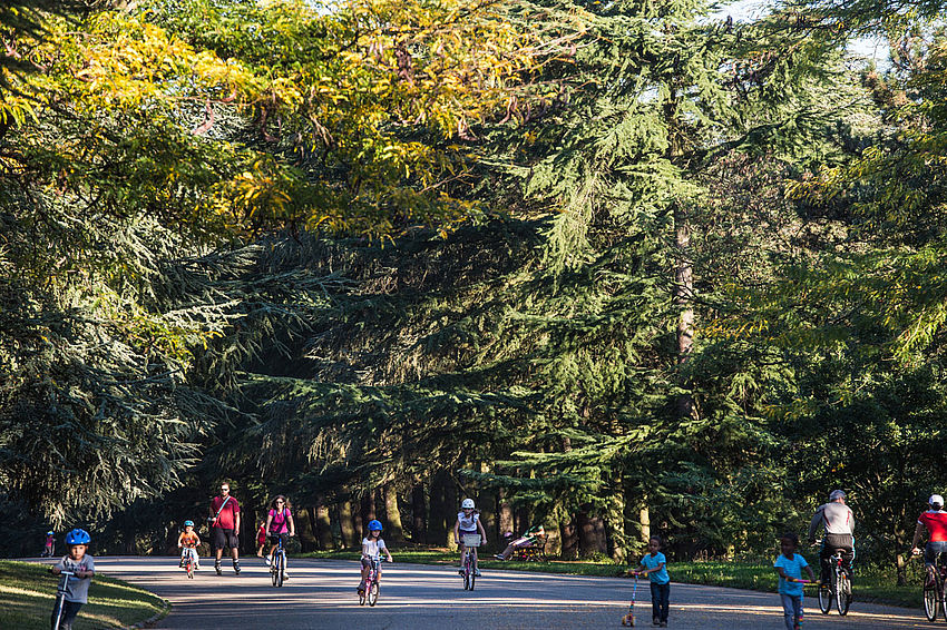 Le parc de Parilly