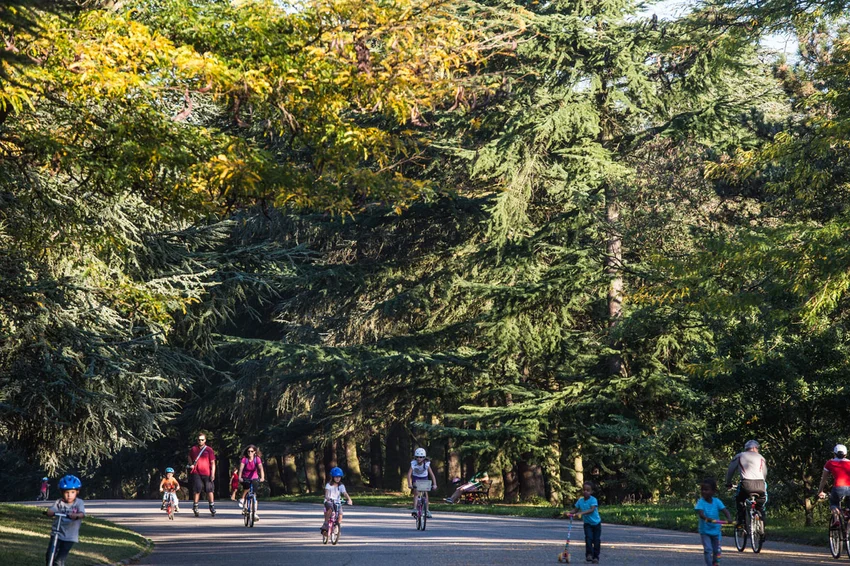 Les ballades du parc de Parilly