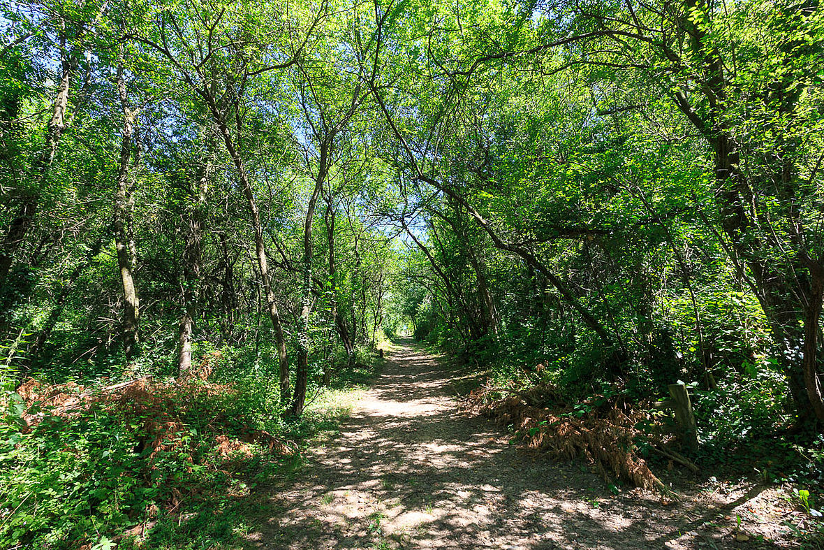 Sentier de Sacuny