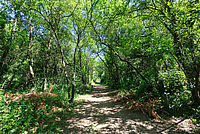 Sentier de Sacuny