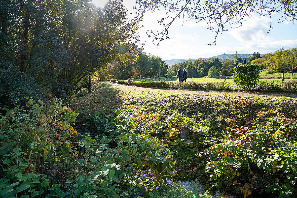 Sentier pédagogique Retour aux sources