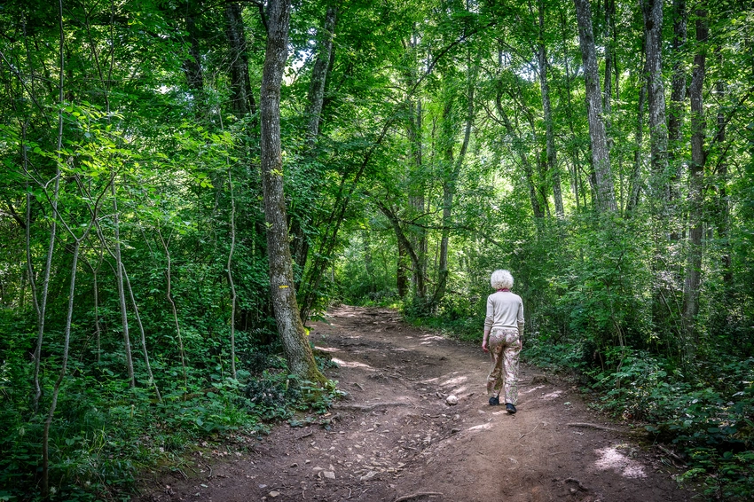 Une promeneuse sur le chemin du Pinay