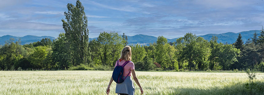 Sentier à Dardilly