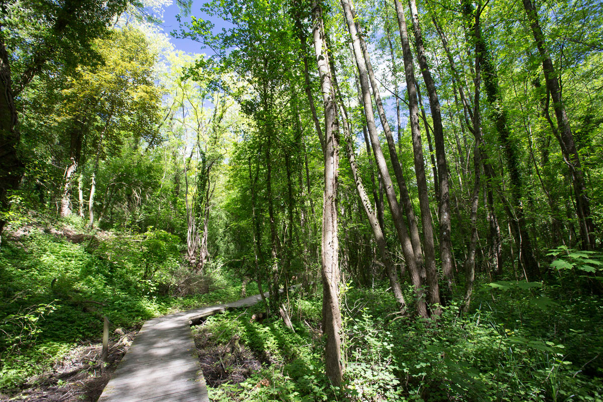 Sentier du Ruisseau de Rochecardon