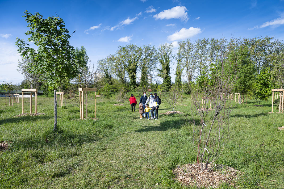 Une photo de l'arboretum de Sathonay-Camp
