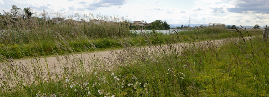 Le canal de Jonage Le canal de Jonage